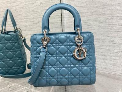 DIOR Handbags 568